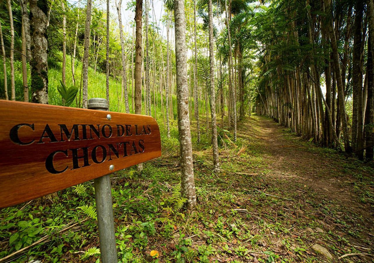 Fundo San Jose Parque Ecologico & Lodge Hotel Asociado Casa Andina Ла-Мерсед Екстер'єр фото