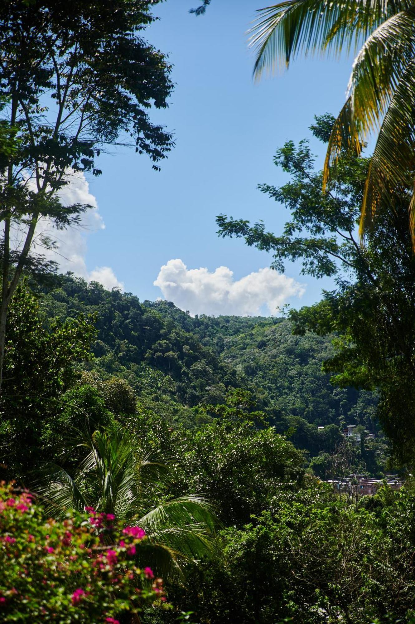 Fundo San Jose Parque Ecologico & Lodge Hotel Asociado Casa Andina Ла-Мерсед Екстер'єр фото